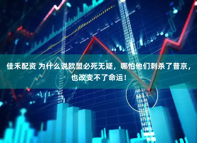 佳禾配资 为什么说欧盟必死无疑，哪怕他们刺杀了普京，也改变不了命运！