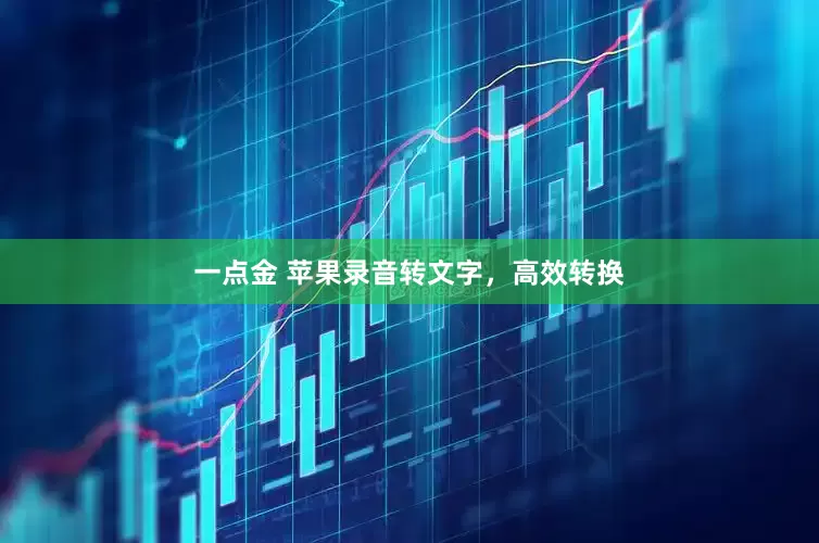 一点金 苹果录音转文字，高效转换