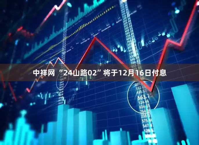 中祥网 “24山路02”将于12月16日付息
